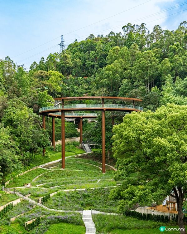 深圳新開136.6萬m²網紅公園🏞️黃色S形棧道/樹屋兒童樂園/360°天空之環