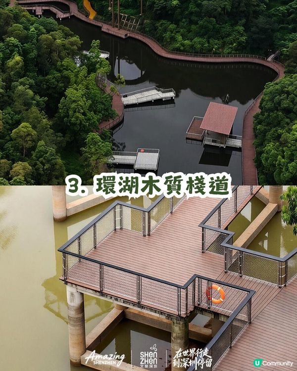 深圳新開136.6萬m²網紅公園🏞️黃色S形棧道/樹屋兒童樂園/360°天空之環