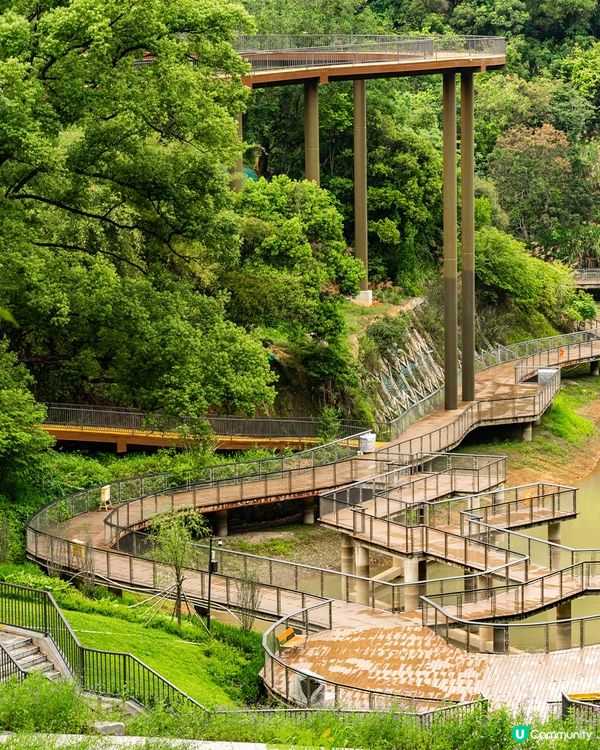 深圳新開136.6萬m²網紅公園🏞️黃色S形棧道/樹屋兒童樂園/360°天空之環