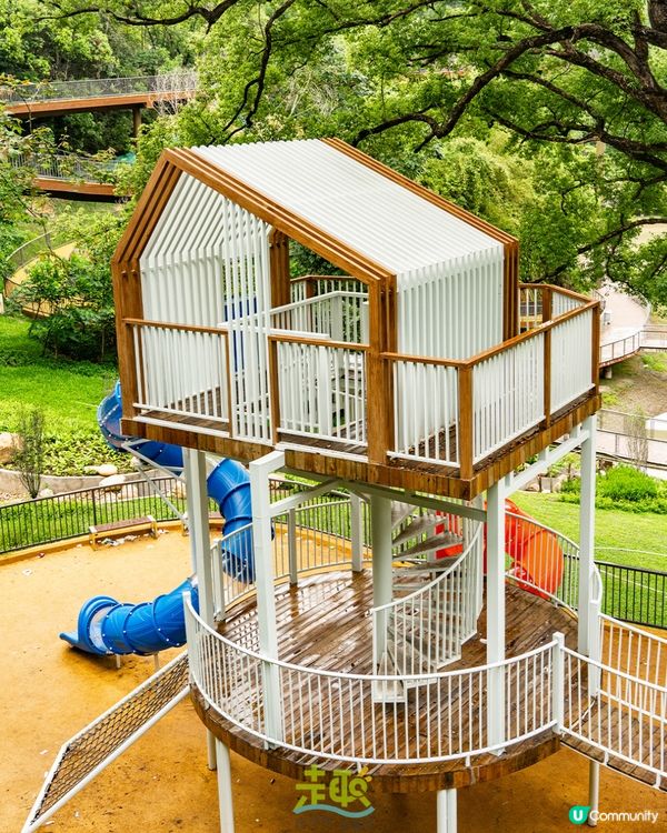 深圳新開136.6萬m²網紅公園🏞️黃色S形棧道/樹屋兒童樂園/360°天空之環