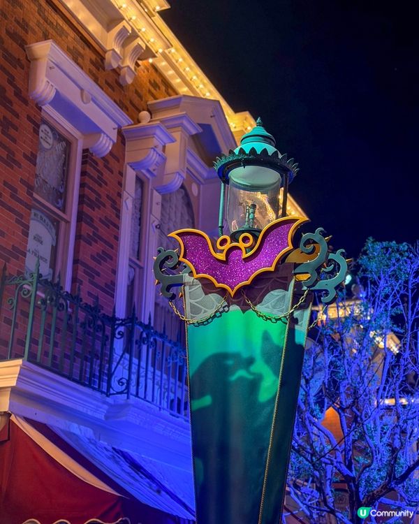 Not your usual Disney night.🌙✨