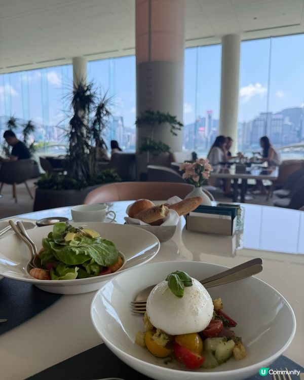 麗晶$248食到單人套餐😋