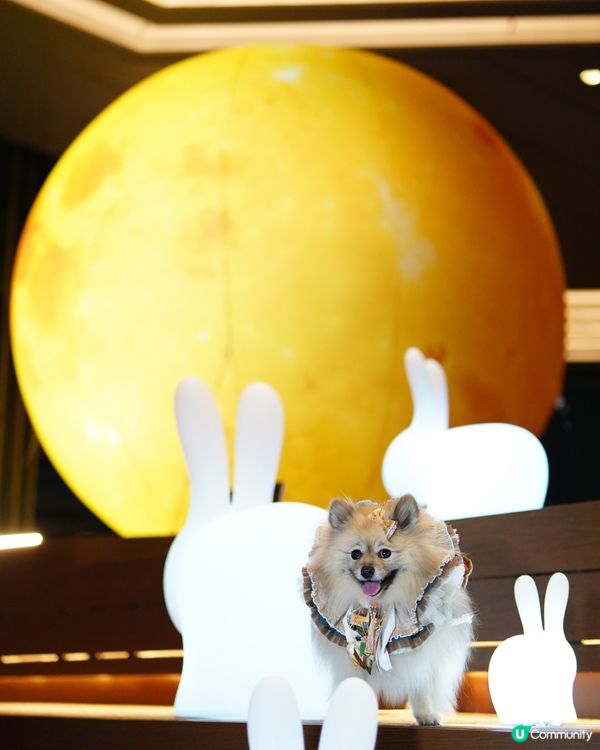 巨型🌕月亮與月兔🐇