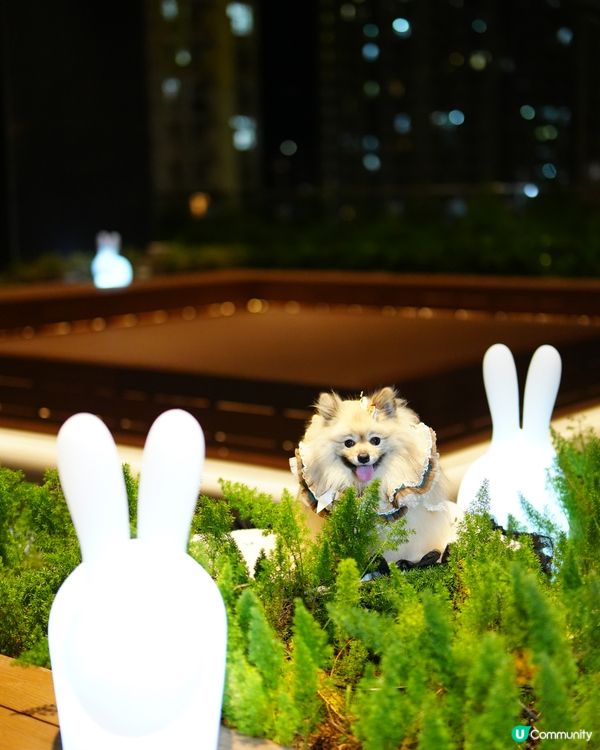 巨型🌕月亮與月兔🐇