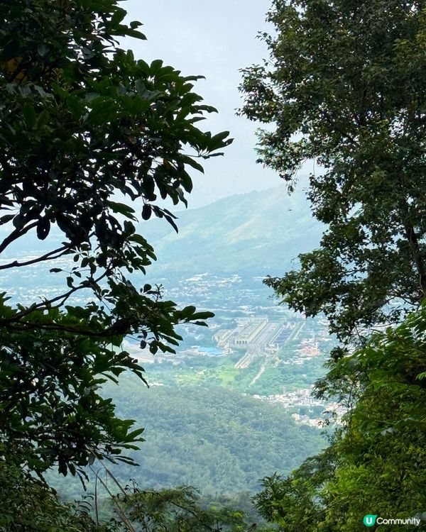 🍵 【隱世山水茶香｜大帽山腳下的老香港味道