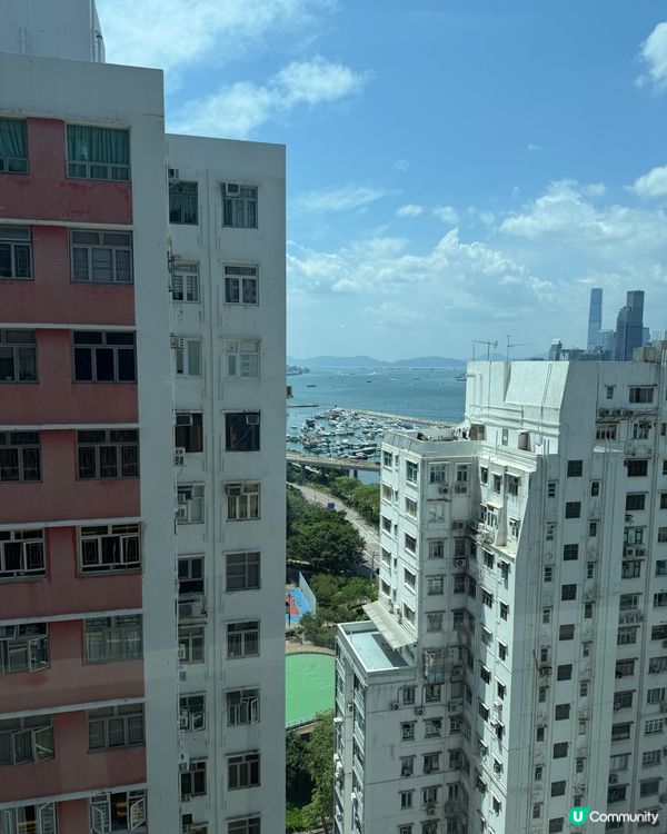 眺望維港海景·平民價高級Omakase🍣✨