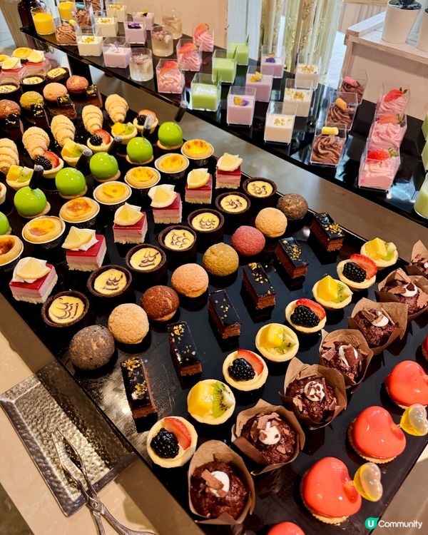 🚨全港最高CP值自助餐喺呢度！🎂✨
