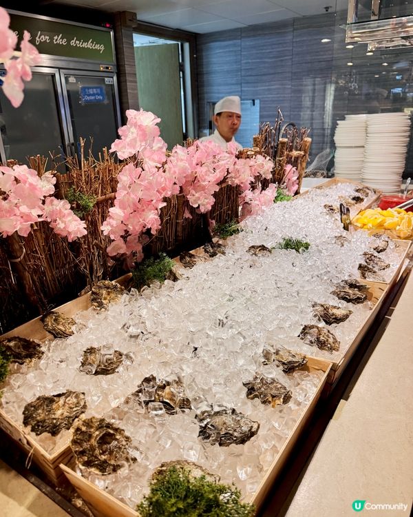 🚨全港最高CP值自助餐喺呢度！🎂✨