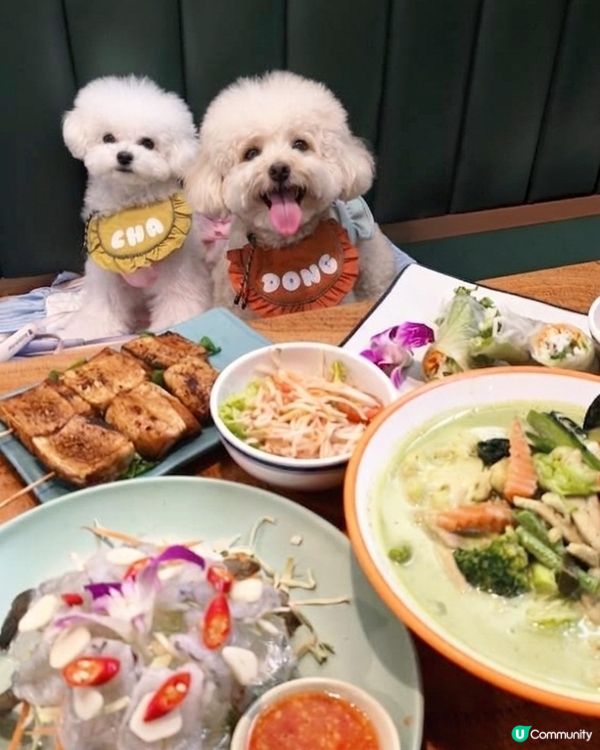 荃灣泰菜🤤 主子都可以陪食啦！🐕🌶️🦐