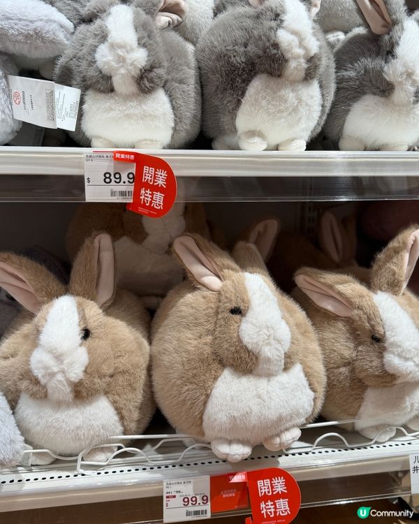 青衣城🏡日系家品店！買乜都平靚正🤩