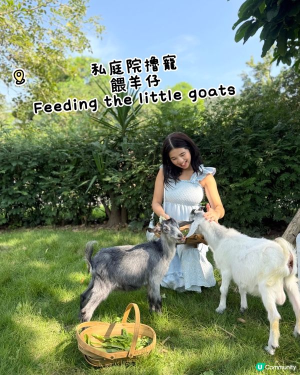 唔使去歐洲住到小木屋 🛖