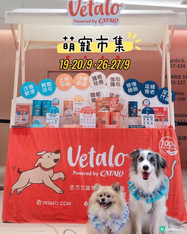 SNDO Pawsliday|寵寵秋日營 🐾🍂