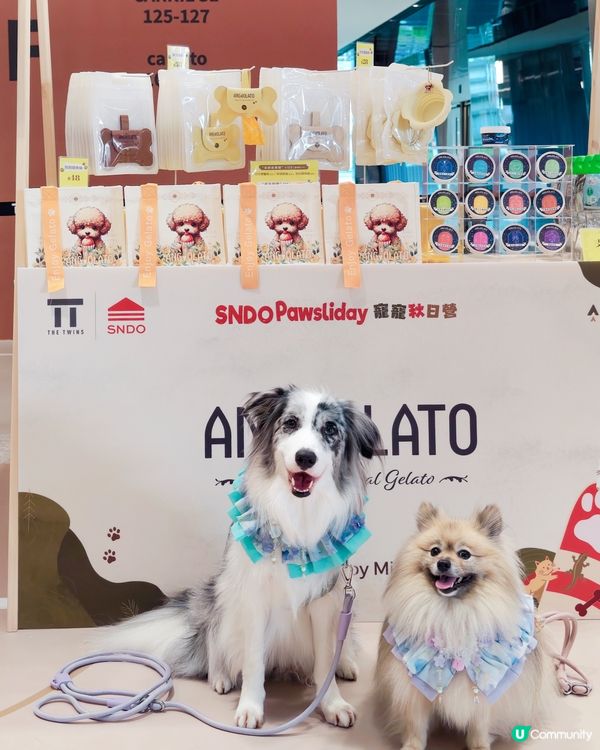SNDO Pawsliday|寵寵秋日營 🐾🍂