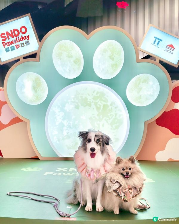 SNDO Pawsliday|寵寵秋日營 🐾🍂