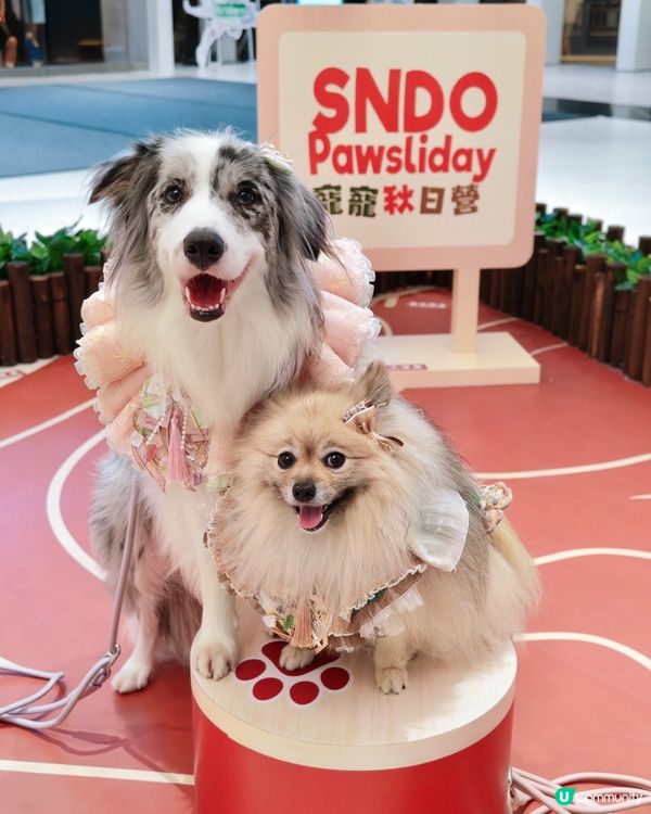 SNDO Pawsliday|寵寵秋日營 🐾🍂