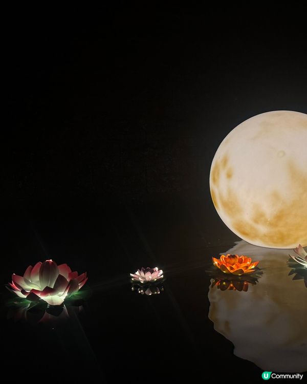 中秋好去處