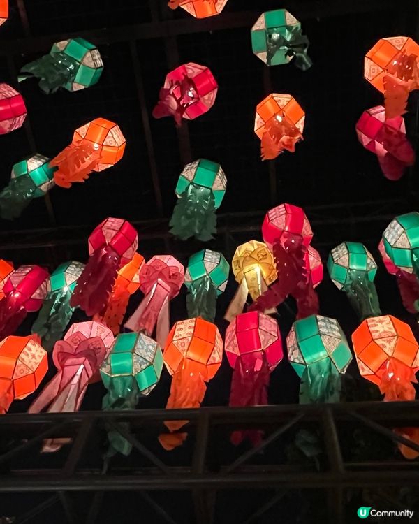 🏮維園中秋國際綵燈匯🏮今年最值得期待