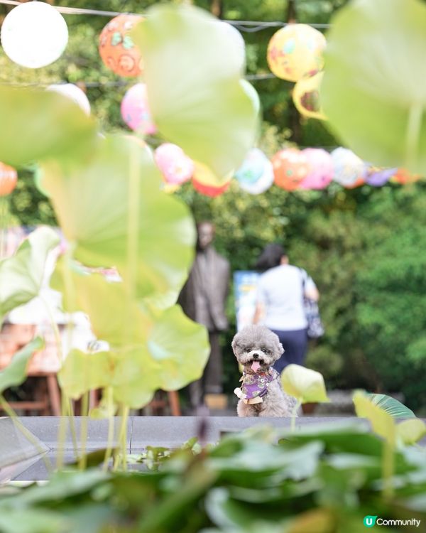 饒宗頣文化館