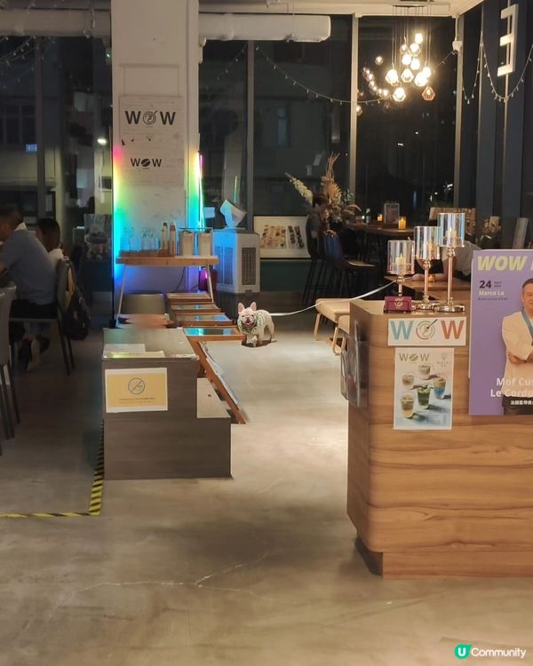 平日下晝收工之後，行過馬頭角道附近，入咗迎豐一樓呢間社企西餐...