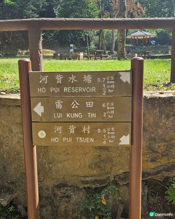 河背