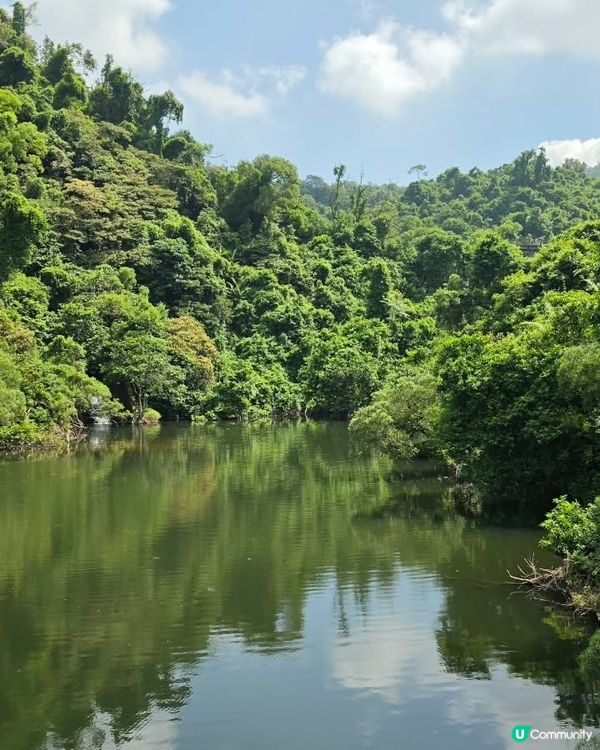 清潭行山易輕鬆！⛰️🚶‍♀️