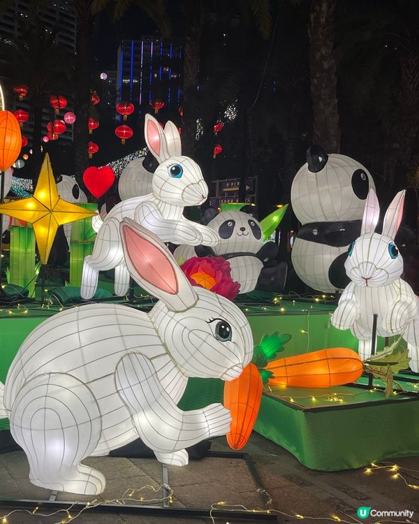 🐰玉兔熊貓🐼齊迎中秋