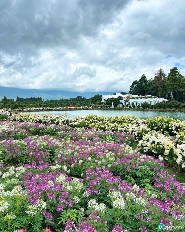 瞬間帶你到 哈比人小屋 童話世界