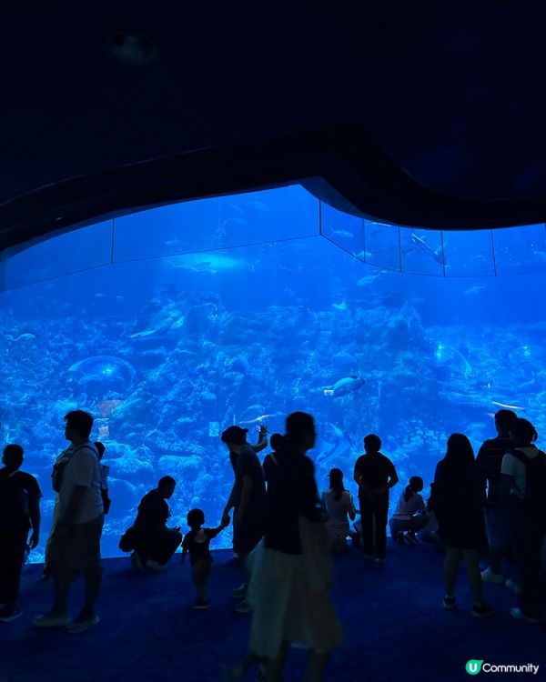 熱到癲🎢 同囡囡去海洋館吹下冷氣🌊