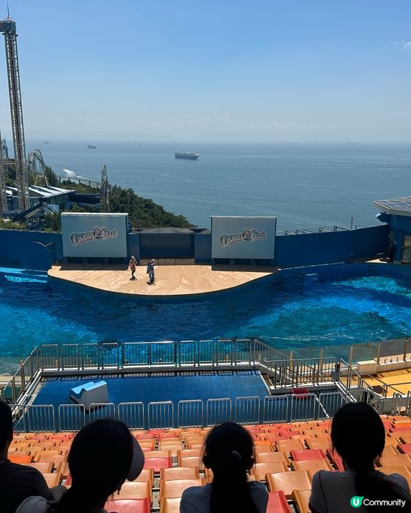 熱到癲🎢 同囡囡去海洋館吹下冷氣🌊