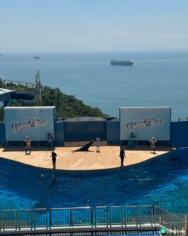 熱到癲🎢 同囡囡去海洋館吹下冷氣🌊
