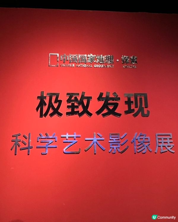 免費比奇堡😍！65隻路人魚任影！🌊🧜‍♀️