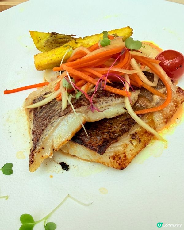 銅鑼灣蘭花仙境！💖🌸