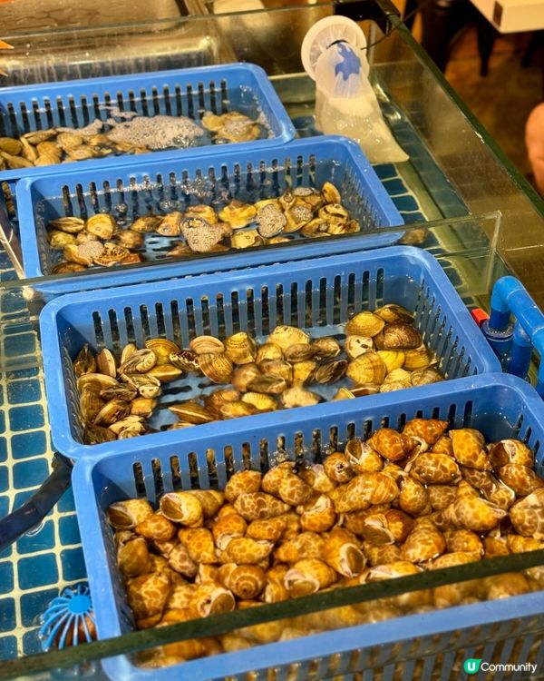 荃灣無限時海鮮火鍋放題 即撈海鮮自助吧