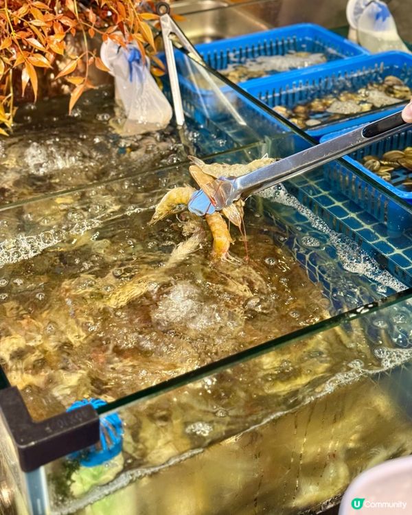 荃灣無限時海鮮火鍋放題 即撈海鮮自助吧