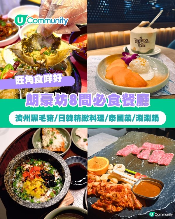 【旺角美食2026】朗豪坊8間必食餐廳 濟州黑毛豬/日韓精緻料理/泰國菜/涮涮鍋