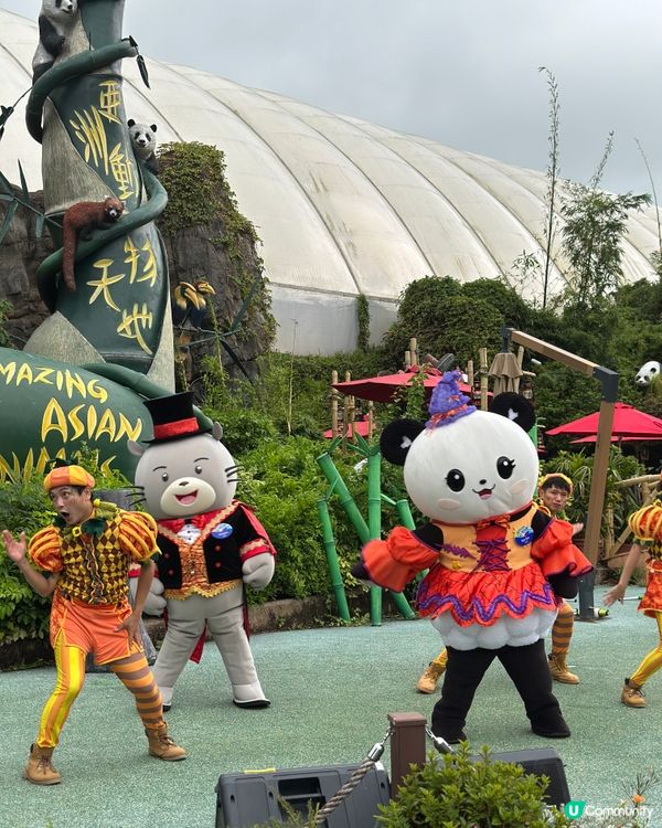 海洋公園一日遊！🐼