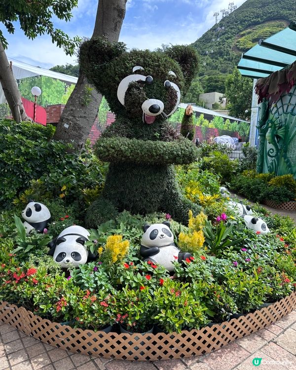 海洋公園一日遊！🐼