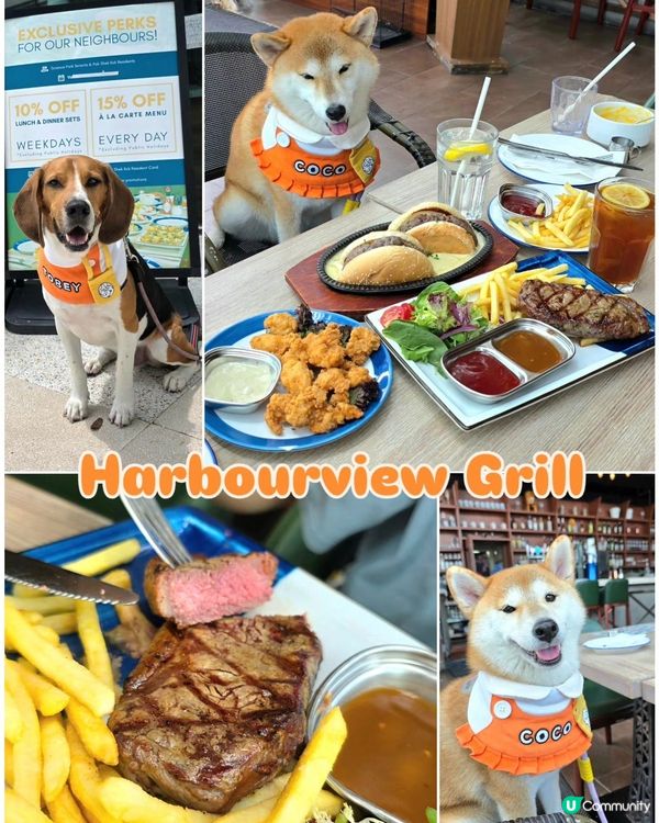 科學園搵食, 可以試下呢間 Harbourview Gril...