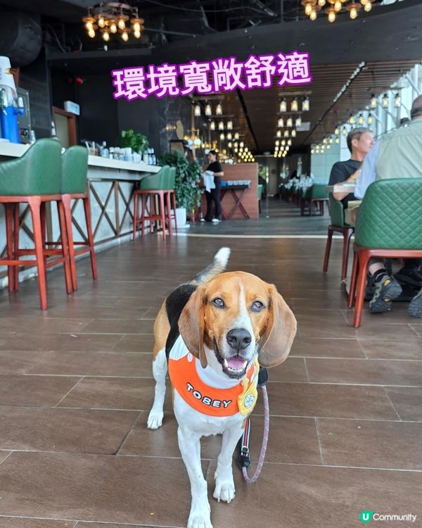 科學園搵食, 可以試下呢間 Harbourview Gril...