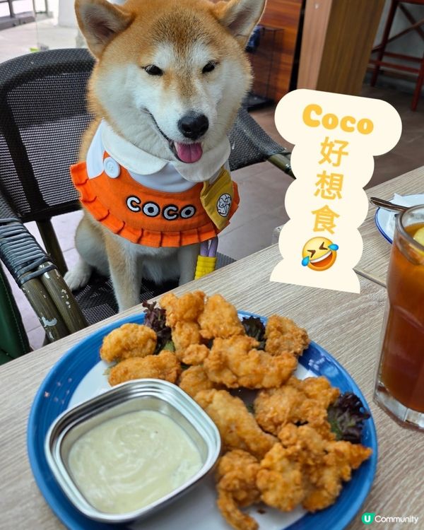 科學園搵食, 可以試下呢間 Harbourview Gril...
