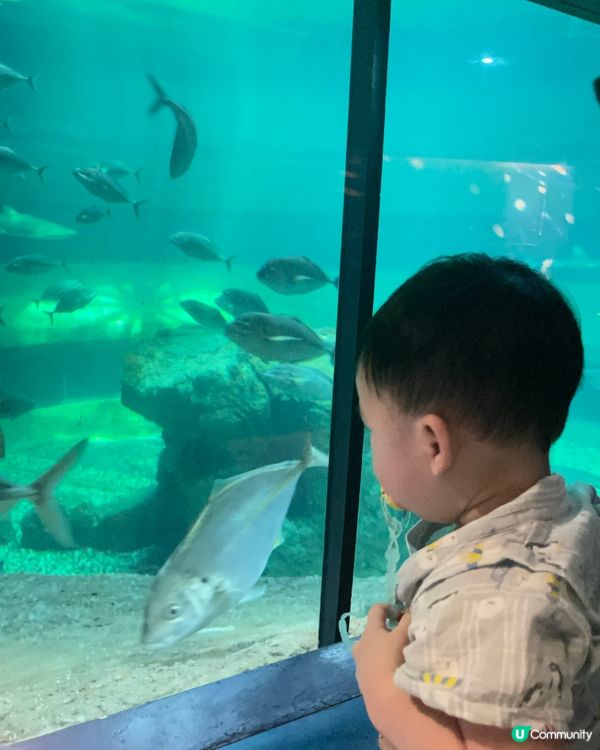 親子海洋公園遊🐢教育意義滿分！