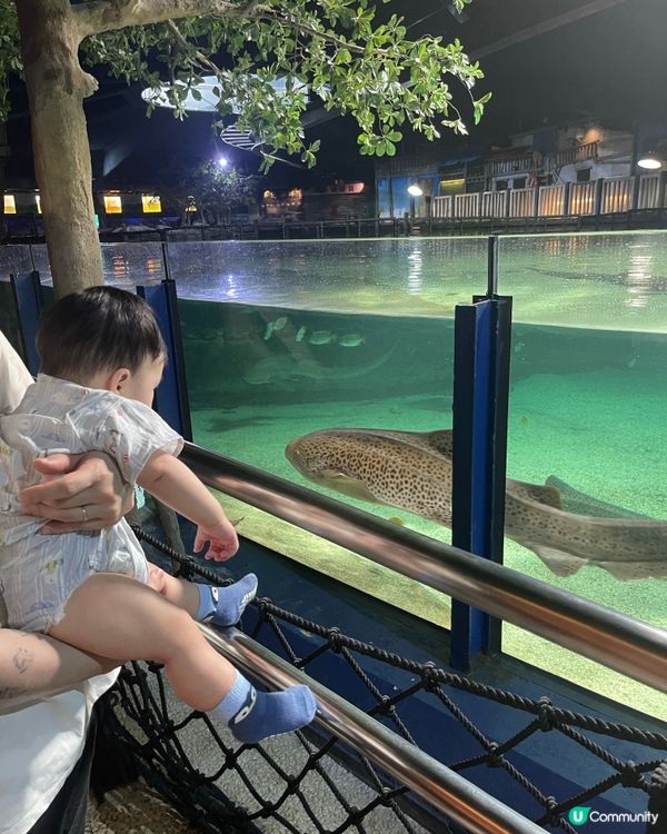 親子海洋公園遊🐢教育意義滿分！