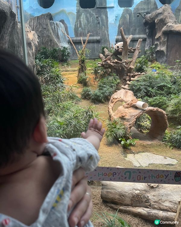 親子海洋公園遊🐢教育意義滿分！