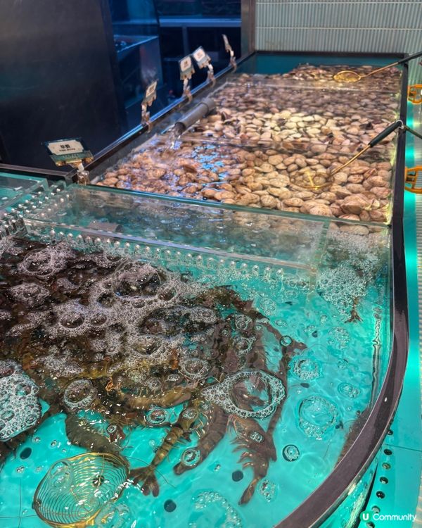 極致活海鮮、特色甜品與貼心服務！千海水產放題鮮味滿分