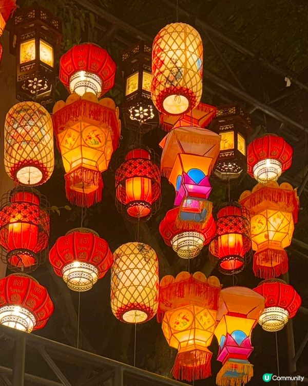 維園賞燈攻略🏮去打卡前一定要睇✨