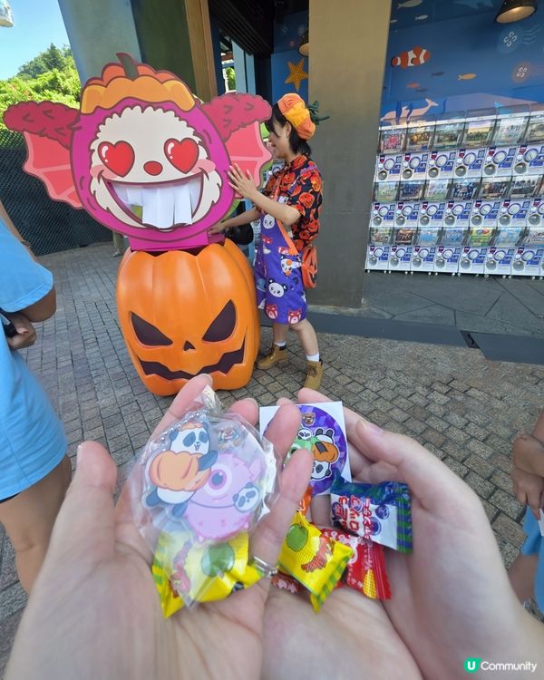 🎃香港親子萬聖節好去處！海洋公園日頭一樣咁好玩 🍬

