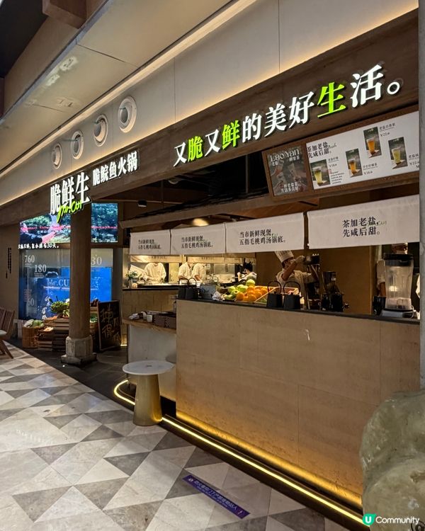 鍾意食魚嘅朋友必試 - 深圳領展中心城 脆鮮生脆鯇魚火鍋