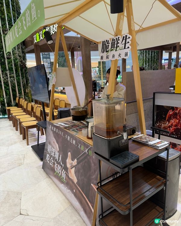 鍾意食魚嘅朋友必試 - 深圳領展中心城 脆鮮生脆鯇魚火鍋