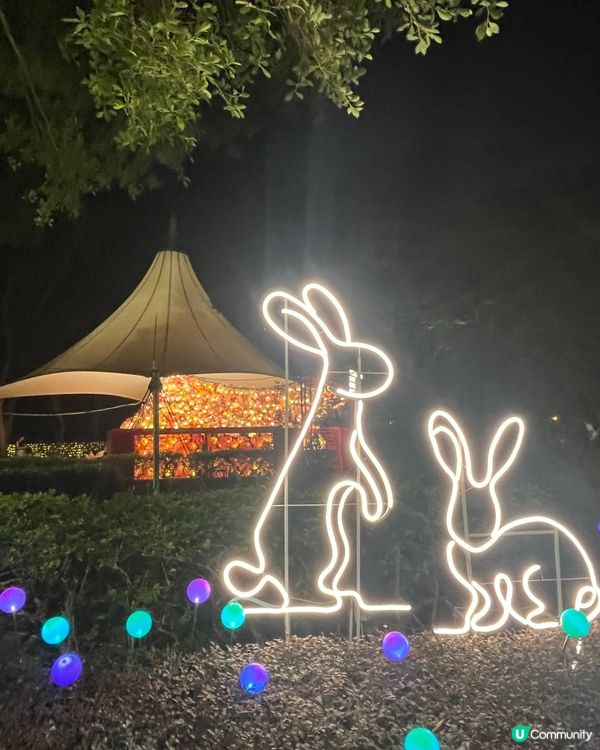 國際中秋綵燈匯🏮正