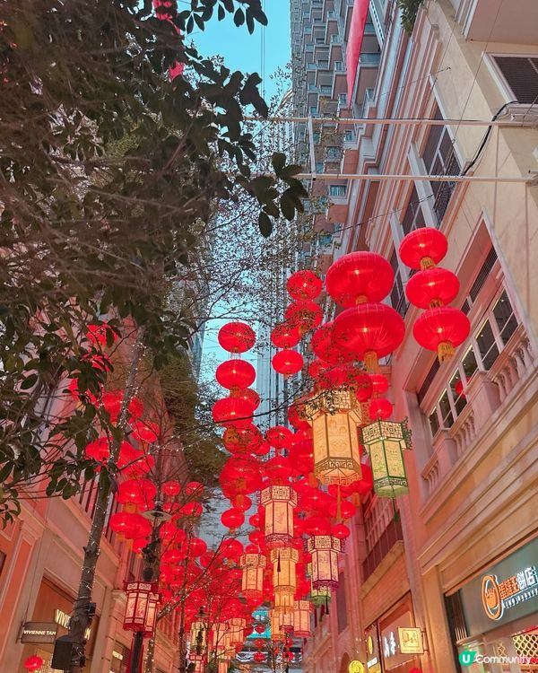 灣仔利東街紅燈籠🏮超靚！